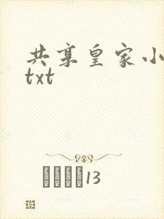共享皇家小公主txt