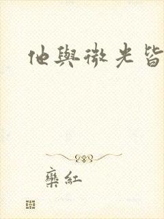 他与微光皆倾城