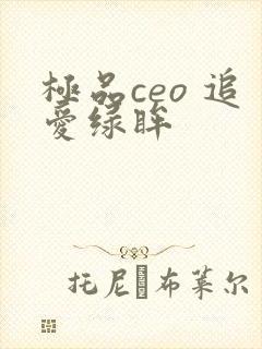 极品ceo 追爱绿眸
