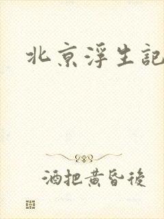 北京浮生记下载