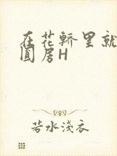 在花轿里就开始圆房H