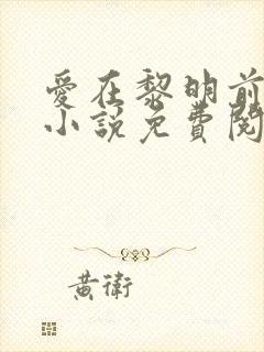 爱在黎明前降落小说免费阅读