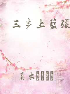 三步上篮张鼎鼎