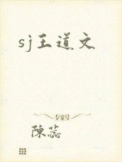 sj王道文