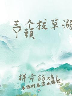 三个校草溺爱拽丫头