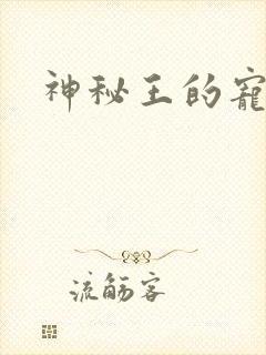 神秘王的宠姬