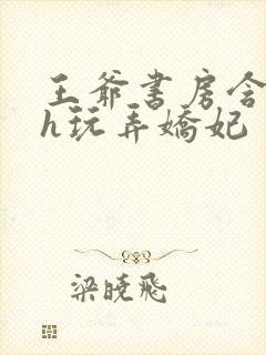 王爷书房含乳尖h玩弄娇妃