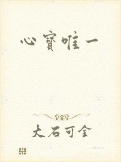 心宝唯一
