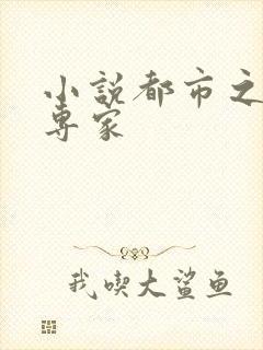 小说都市之军火专家