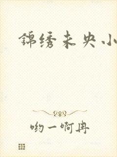 锦绣未央小说