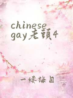 chinesegay老头4