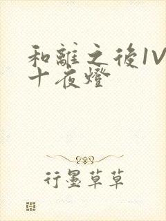 和离之后1V1十夜灯