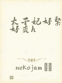 太子妃好紧皇上好爽h