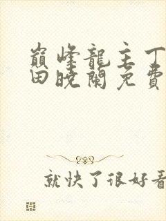 巅峰龙主丁长顺田晓兰免费阅读