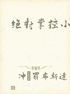 绝对掌控小说