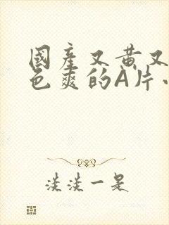 国产又黄又大又色爽的A片小说