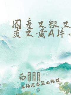 国产又粗又猛又爽又黄A片小说