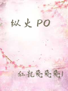 纵火 PO