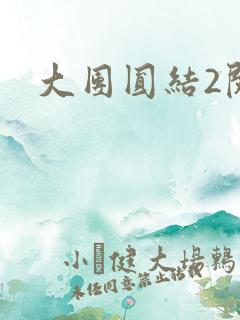 大团圆结2阅读