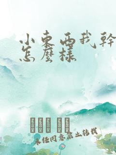 小东西我干的你怎么样