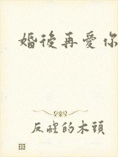 婚后再爱你