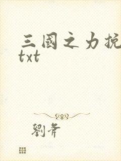 三国之力挽狂澜txt