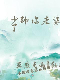 少帅你老婆又跑了