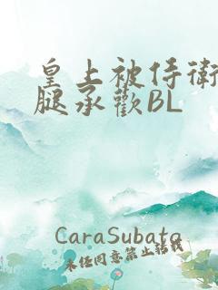 皇上被侍卫抵开腿承欢BL