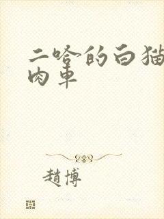二哈的白猫师尊肉车