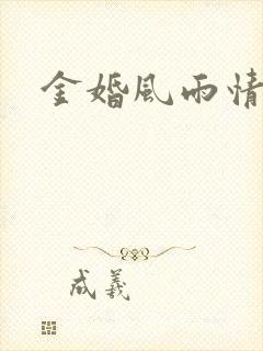 金婚风雨情下载