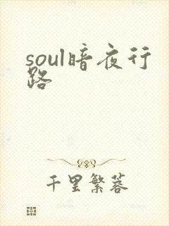 soul暗夜行路