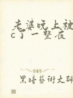 老婆晚上被躁狂c了一整夜