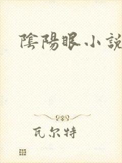 阴阳眼小说