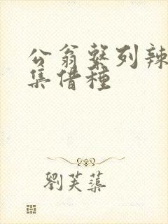 公翁系列辣文全集借种