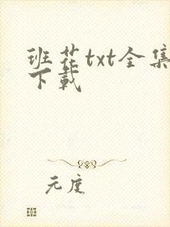 班花txt全集下载