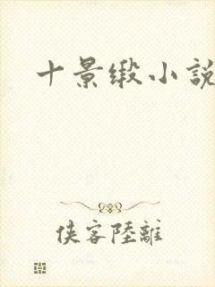 十景缎小说
