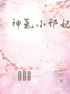 神气小邪妃