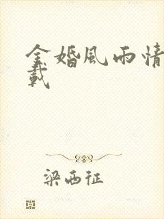 金婚风雨情 下载