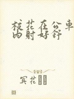 校花在公车上被内射好舒