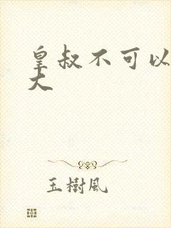 皇叔不可以 太大