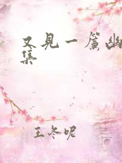 又见一帘幽梦续集