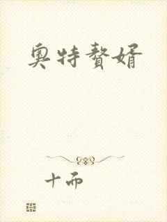 奥特赘婿