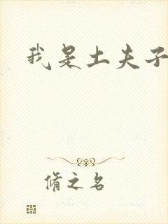 我是土夫子