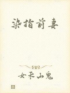 染指前妻