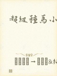 超级种马小说
