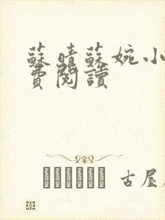 苏晴苏婉小说免费阅读