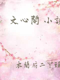 文心阁 小说