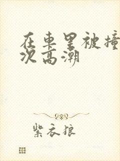 在车里被撞了八次高潮