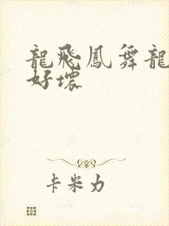 龙飞凤舞龙王你好坏