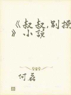 《叔叔,别撩我》小说